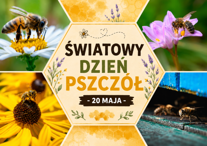 Światowy Dzień Pszczoły 2026