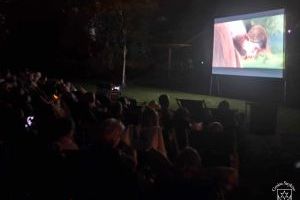 Seans kina plenerowego w parku nad Moszczenicą, 30.08.2024