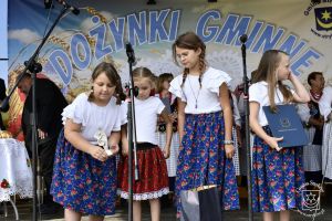 Dożynki Gminy Stryków, Lipka 2024