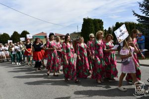 Dożynki Gminy Stryków, Lipka 2024