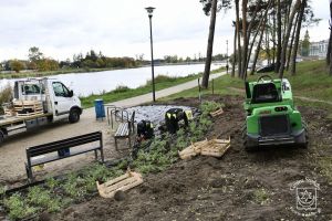 Modernizacja wschodniej części zalewu, w trakcie wykonania nowych nasadzeń