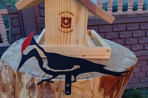 Zimą ptakom pomagamy, więc karmniki Wam rozdamy