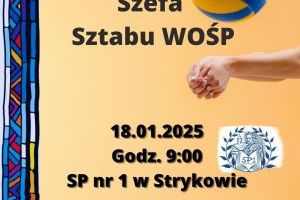 Turniej Piłki Siatkowej o Puchar Szefa Sztabu WOŚP