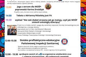 Wielki finał 33. WOŚP - 2025