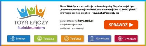 Internet światłowodowy Toya - sieć szkieletowa NGA