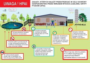 Bioasekuracja HPAI