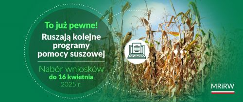 Wnioski suszowe 2024