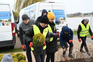 Sadzenie roślin nad zalewem w ramach Dnia Wolontariatu dla Lokalnego Środowiska SEGRO w Strykowie