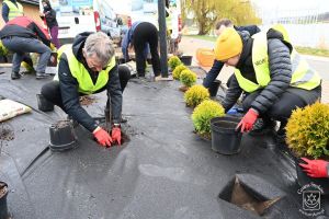 Sadzenie roślin nad zalewem w ramach Dnia Wolontariatu dla Lokalnego Środowiska SEGRO w Strykowie