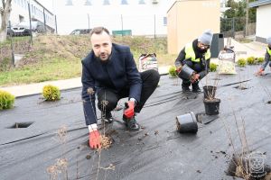 Sadzenie roślin nad zalewem w ramach Dnia Wolontariatu dla Lokalnego Środowiska SEGRO w Strykowie