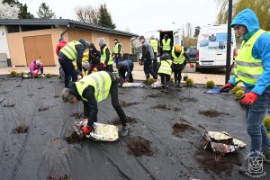 Sadzenie roślin nad zalewem w ramach Dnia Wolontariatu dla Lokalnego Środowiska SEGRO w Strykowie