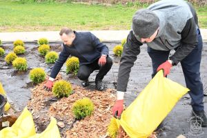 Sadzenie roślin nad zalewem w ramach Dnia Wolontariatu dla Lokalnego Środowiska SEGRO w Strykowie
