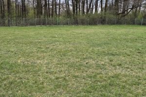 Nowe boisko w Niesułkowie-Kolonii