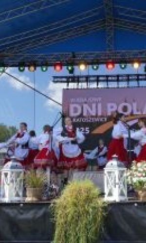 Oficjalne otwarcie VI Krajowych Dni Pola 2025 w Bratoszewicach