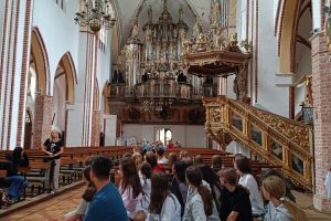 Kolonie w Międzywodziu - 2025 r.