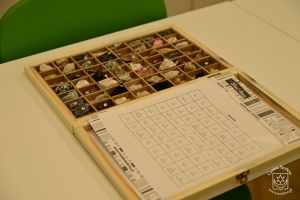 Otwarcie Ekopracowni w SP Dobra 2025