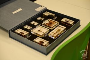 Otwarcie Ekopracowni w SP Dobra 2025