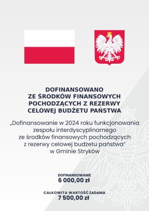 Dofinansowanie funkcjonowania zespołu interdyscyplinarnego ze środków finansowych pochodzących z rezerwy celowej budżetu...