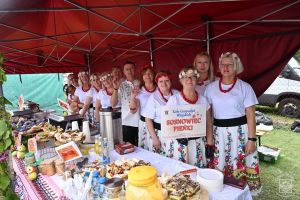 Koła Gospodyń Wiejskich i zespoły na Dożynkach Gminy Stryków w Swędowie 2025