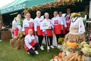 Koła Gospodyń Wiejskich i zespoły na Dożynkach Gminy Stryków w Swędowie 2025