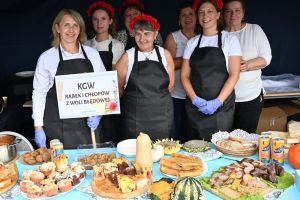 Koła Gospodyń Wiejskich i zespoły na Dożynkach Gminy Stryków w Swędowie 2025