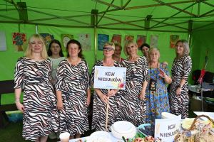 Koła Gospodyń Wiejskich i zespoły na Dożynkach Gminy Stryków w Swędowie 2025