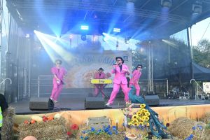 Koła Gospodyń Wiejskich i zespoły na Dożynkach Gminy Stryków w Swędowie 2025