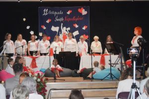 Dzień Niepodległości w Domu Kultury w Niesułkowie