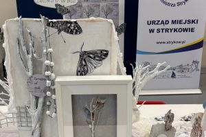 VIII edycja Gminnych Warsztatów Twórczego Myślenia i Działania w SP nr 1 - 2025 r.