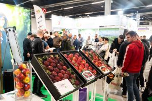 Zdjęcia z poprzedniej edycji konferencji