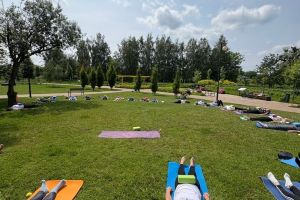 Podsumowanie zajęć jogi dla seniorów 2025