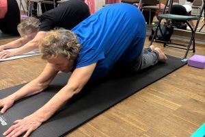 Podsumowanie zajęć jogi dla seniorów 2025