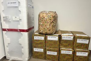 Finał - Szlachetna Paczka 2025