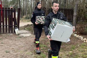 Finał - Szlachetna Paczka 2025