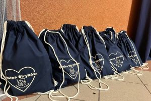 Finał - Szlachetna Paczka 2025