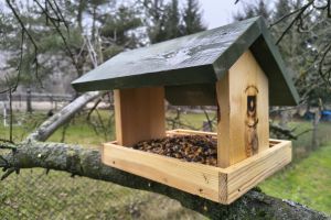 Akcja ekologiczna karmniki 2025