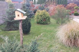 Akcja ekologiczna karmniki 2025