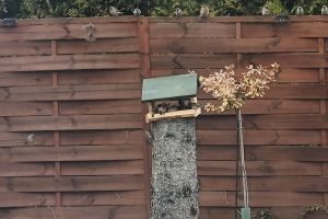 Akcja ekologiczna karmniki 2025