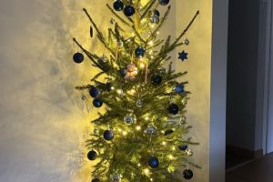 „Gdy prawidłowo segregujesz śmieci, choinka na święta do Ciebie leci” - I edycja 2025 r.