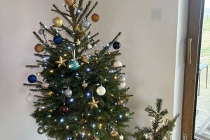 „Gdy prawidłowo segregujesz śmieci, choinka na święta do Ciebie leci” - I edycja 2025 r.