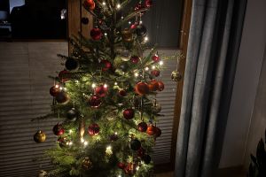 „Gdy prawidłowo segregujesz śmieci, choinka na święta do Ciebie leci” - I edycja 2025 r.