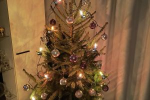 „Gdy prawidłowo segregujesz śmieci, choinka na święta do Ciebie leci” - I edycja 2025 r.