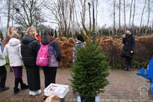 Konkurs "Gmina Stryków w Świątecznym przybraniu"