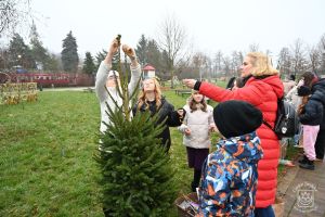 Konkurs "Gmina Stryków w Świątecznym przybraniu"
