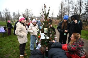 Konkurs "Gmina Stryków w Świątecznym przybraniu"