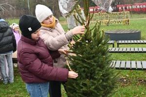 Konkurs "Gmina Stryków w Świątecznym przybraniu"