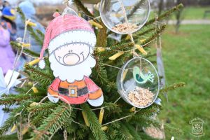 Konkurs "Gmina Stryków w Świątecznym przybraniu"