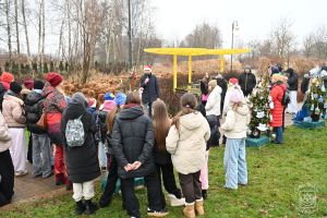 Konkurs "Gmina Stryków w Świątecznym przybraniu"