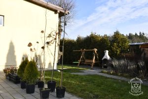 Granty sołeckie 2025 r.