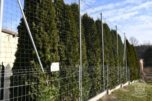 Granty sołeckie 2025 r.